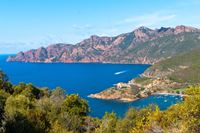 Korsika - Tajemní ostrované (Flóra Korsiky)