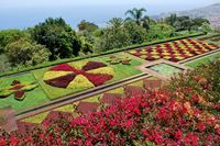 Madeira - Funchal, město na svahu
