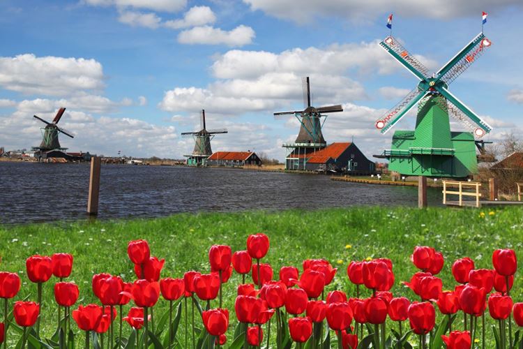Belgie a Holandsko - v květu tulipánů, Belgická tulipánová výstava