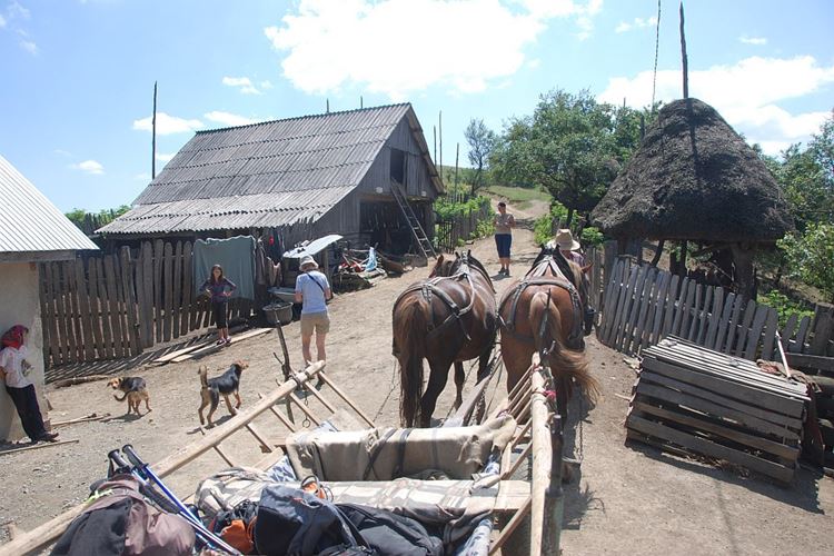 Rumunsko - Český Banát - výlet z koňským spřežením z Gerniku do Rovenska