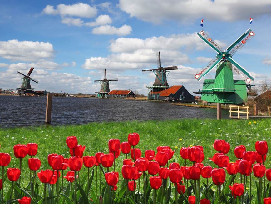 Holandsko - tulipány a větrné mlýny