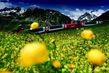 Horskými vlaky po Švýcarsku - Ledovcový expres